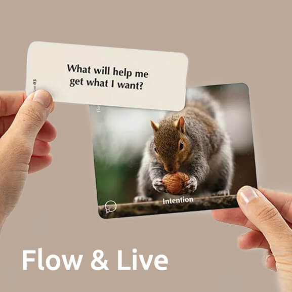 Flow & Live Workshop