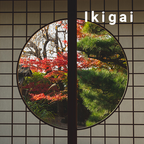 Ikigai workshop: ανακαλύπτω σκοπό και κίνητρο στη ζωή μου